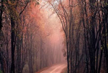 拉齐奥主席：这些年除了尤文，我是把成绩和经济结合最成功的主席.