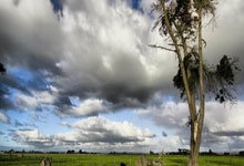 kaiyun官网：[NBA]卡斯尔22分3板马刺主场轻取尼克斯.