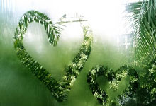 刘炜：我们现在是拼上海的姿态 没有过多考虑排名结果.