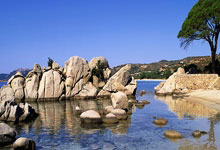 2024年中国篮球名人堂入堂仪式举行 巩晓彬正式入堂.